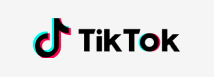 tiktok downloader